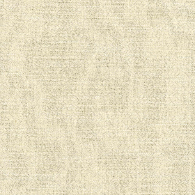Carole Fabric Say Yes Shimmer Winner'S Circle 78% Polyester, 22% Viscose India N/A Horizontal: 0 and Vertical: 0 55 - My Fabric Connection -