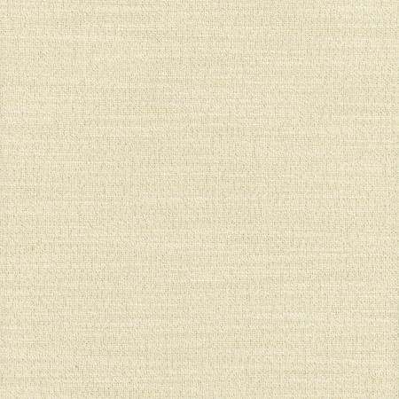 Carole Fabric Say Yes Shimmer WINNER'S CIRCLE 78% Polyester, 22% Viscose India N/A </p><p>Repeat: None 55" - My Fabric Connection -