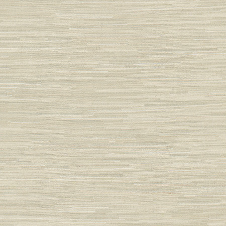 Carole Fabric Suntan Raffia Excursion 95% Polyester, 5% Cotton India 8,000 Wyzenbeek Double Rubs Horizontal: None and Vertical: None 56.5" - My Fabric Connection -