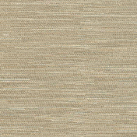 Carole Fabric Suntan Putty Excursion 95% Polyester, 5% Cotton India 8,000 Wyzenbeek Double Rubs Horizontal: None and Vertical: None 56.5" - My Fabric Connection -