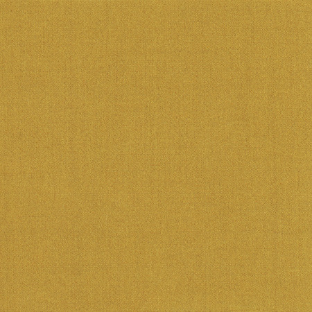 Carole Fabric Tempt Ginger Royale 100% IFR Polyester India None 54" - My Fabric Connection -