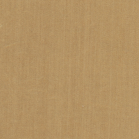 Carole Fabric Tempt Sepia Royale 100% IFR Polyester India Passes 45,000 Double Rubs Wyzenbeek Horizontal: None and Vertical: None 54" - My Fabric Connection -