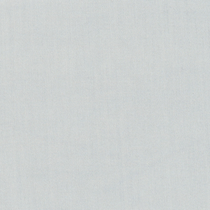 Carole Fabric Tempt Sterling Royale 100% IFR Polyester India Passes 45,000 Double Rubs Wyzenbeek Horizontal: 0 and Vertical: 0 54 - My Fabric Connection -