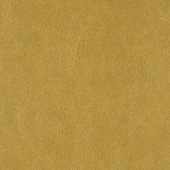 Nassimi Fabric Hawthorne Fenugreek See sample 95% Polyurethane (Polycarbonate)5% Silicone 250000 Horizontal: Not Applicable and Vertical: Not Applicable 54" - My Fabric Connection -