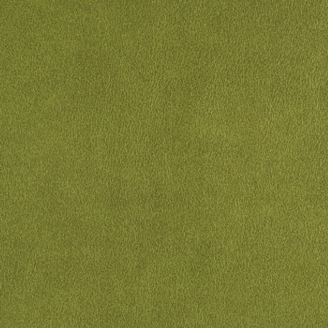 Nassimi Fabric Hawthorne Spring See sample 95% Polyurethane (Polycarbonate)5% Silicone 250000 Horizontal: Not Applicable and Vertical: Not Applicable 54" - My Fabric Connection -