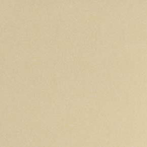 Nassimi Fabric Ultra Oat See sample 100% Polyurethane 100000 Horizontal: Not Applicable and Vertical: Not Applicable 54" - My Fabric Connection -