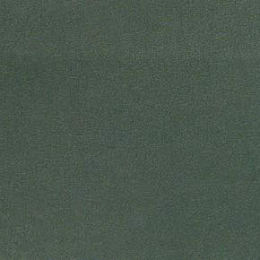 Burch Fabric Ultra Racing Green SUL-022 See sample 100% Polyurethane USA or Imported Water-based cleaning agents and foam may be used for cleaning. Cleaning by a professional cleaning service is recommended. 54 - My Fabric Connection -