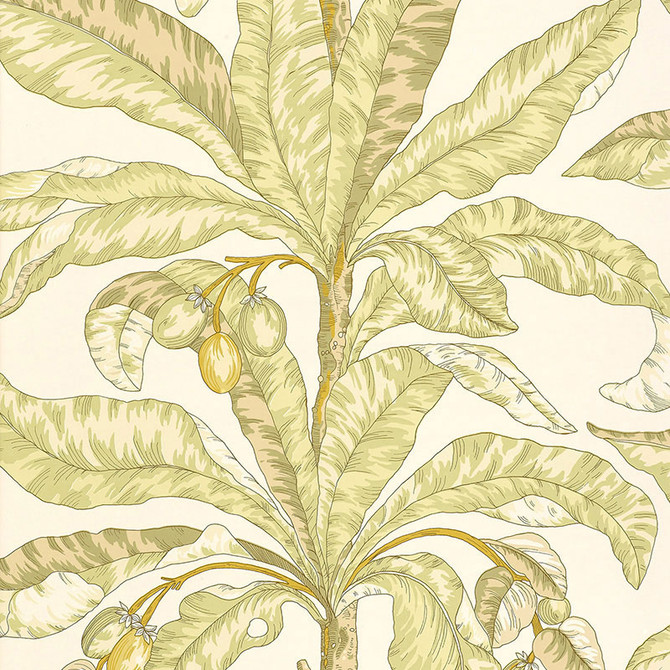 Schumacher Wallpaper Blair House Palm Kiwi 5004062 TROPICANA Paper 0 UNITED STATES OF AMERICA </p><p>Repeat: Horizontal: 27" (69CM) and Vertical: 36" (91CM) 27 - My Fabric Connection -