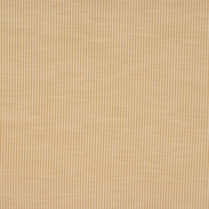 RM CoCo Fabric Hawk Straw Menagerie 42% Cotton 36% Rayon 22% Polyester See Sample 0 Horizontal: 0.3 and Vertical: 0 54 - My Fabric Connection -