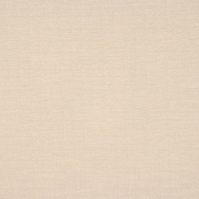 RM CoCo Fabric ADAPTATION PRALINE Evolution 58% Cotton 42% Polyester See Sample 25000 Horizontal: 0 and Vertical: 0 54 - My Fabric Connection -