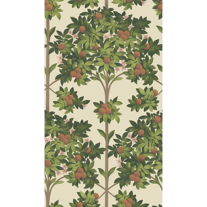 Cole & Son Wallcovering Orange Blossom Orange & Spring Green/Parch Wallcovering NON WOVEN - 100% United Kingdom </p><p>Repeat: H: 20.5, V: 35.9 20.5 - My Fabric Connection -