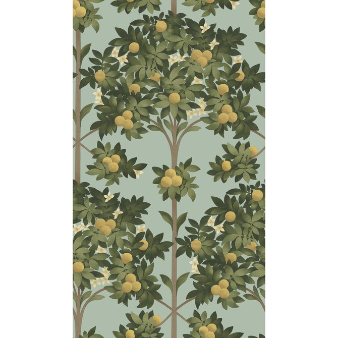 Cole & Son Wallcovering Orange Blossom Lemon/Dk Olive Grn/Duck Egg COLE & SON SEVILLE NON WOVEN - 100% United Kingdom Horizontal: 20.5 and Vertical: 35.9 20.5 - My Fabric Connection -