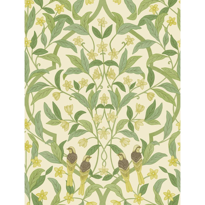 Cole & Son Wallcovering Jasmine & Serin Symphony Chartreuse/Grn/Wt Wallcovering NON WOVEN - 100% United Kingdom </p><p>Repeat: H: 20.5, V: 27 20.5 - My Fabric Connection -