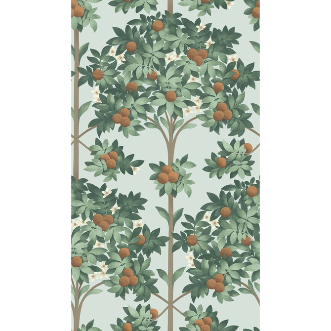 Cole & Son Wallcovering Orange Blossom Burnt Orange/Mint/Seafoam Wallcovering NON WOVEN - 100% United Kingdom </p><p>Repeat: H: 20.5, V: 35.9 20.5 - My Fabric Connection -