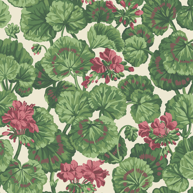 Cole & Son Wallcovering Geranium Rose/Forest Grn On Parchment Wallcovering NON WOVEN - 100% United Kingdom </p><p>Repeat: H: 20.5, V: 20.5 20.5 - My Fabric Connection -