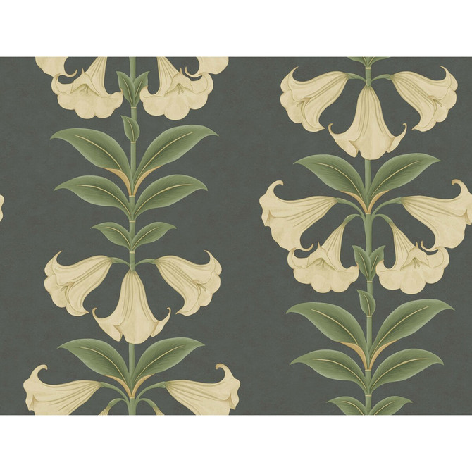Cole & Son Wallcovering Angels Trumpet Cream/Olive Green/Charcoal COLE & SON SEVILLE NON WOVEN - 100% United Kingdom Horizontal: 27 and Vertical: 20.5 27 - My Fabric Connection -