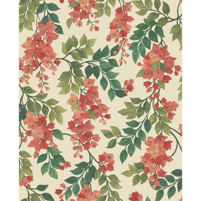 Cole & Son Wallcovering Bougainvillea Rouge/Olive Grn/Emerald/Crm COLE & SON SEVILLE NON WOVEN - 100% United Kingdom Horizontal: 20.5 and Vertical: 25.2 20.5 - My Fabric Connection -