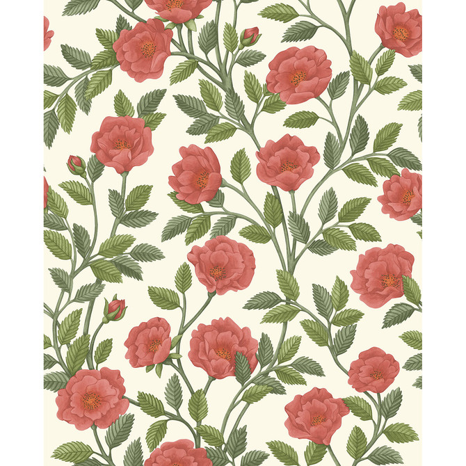 Cole & Son Wallcovering Hampton Roses R&Sgrn/Pmnt Wallcovering NON WOVEN - 100% United Kingdom </p><p>Repeat: H: 20.5, V: 25.2 20.5 - My Fabric Connection -