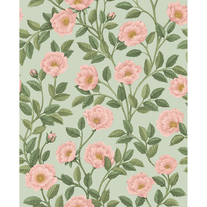 Cole & Son Wallcovering Hampton Roses R&Lgrn/Degg COLE & SON HISTORIC ROYAL PALACES-GREAT MASTERS NON WOVEN - 100% United Kingdom Horizontal: 20.5 and Vertical: 25.2 20.5 - My Fabric Connection -