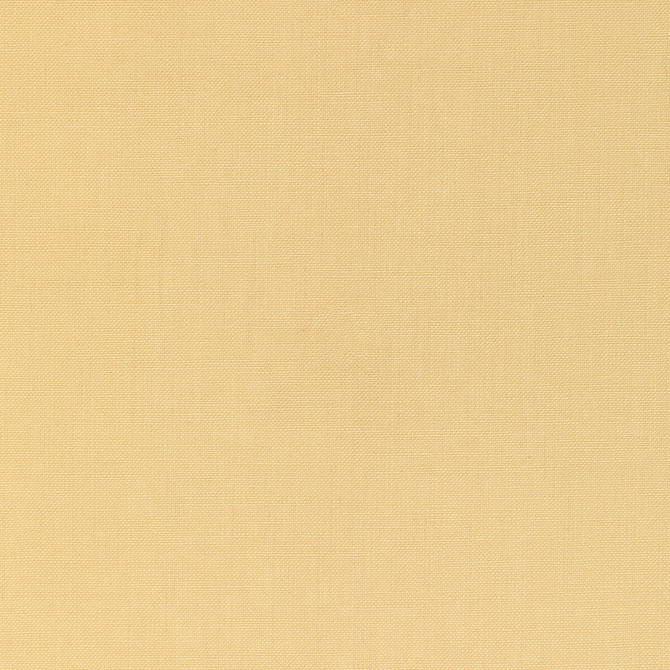 Kravet Basics Fabric Kravet Basics 36055-40 Fabric COTTON - 100% India HEAVY </p><p>Repeat: H: , V: 54 - My Fabric Connection -