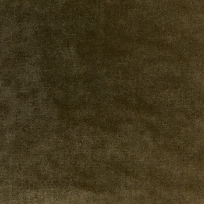 Kravet Couture Fabric Regal Velvet Olive VISCOSE - 72%;COTTON - 21%;POLYESTER - 7% Italy HEAVY Horizontal: 0 and Vertical: 0 55.12 - My Fabric Connection -