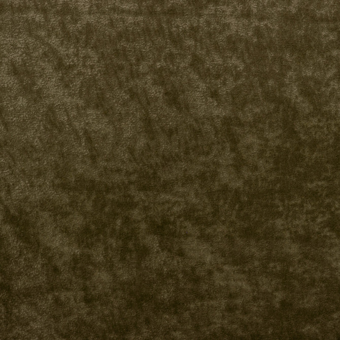 Kravet Couture Fabric Triumphant Olive VISCOSE - 65%;COTTON - 35% Italy HEAVY Horizontal: and Vertical: 55.12 - My Fabric Connection -
