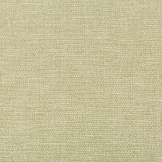 Kravet Smart Fabric 36076-1611 PERFORMANCE KRAVETARMOR POLYESTER - 62%;COTTON - 38% India HEAVY Horizontal: 0 and Vertical: 0 54 - My Fabric Connection -