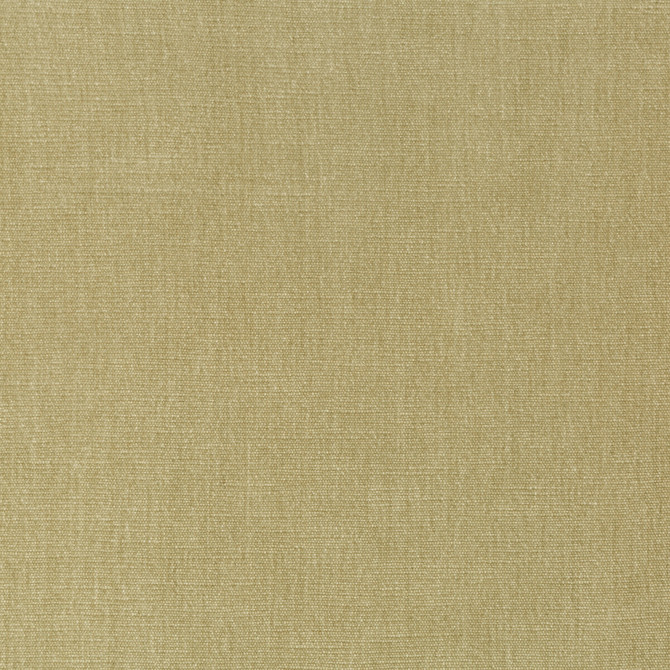 Kravet Smart Fabric 36076-1616 PERFORMANCE KRAVETARMOR POLYESTER - 62%;COTTON - 38% India HEAVY Horizontal: 0 and Vertical: 0 54 - My Fabric Connection -