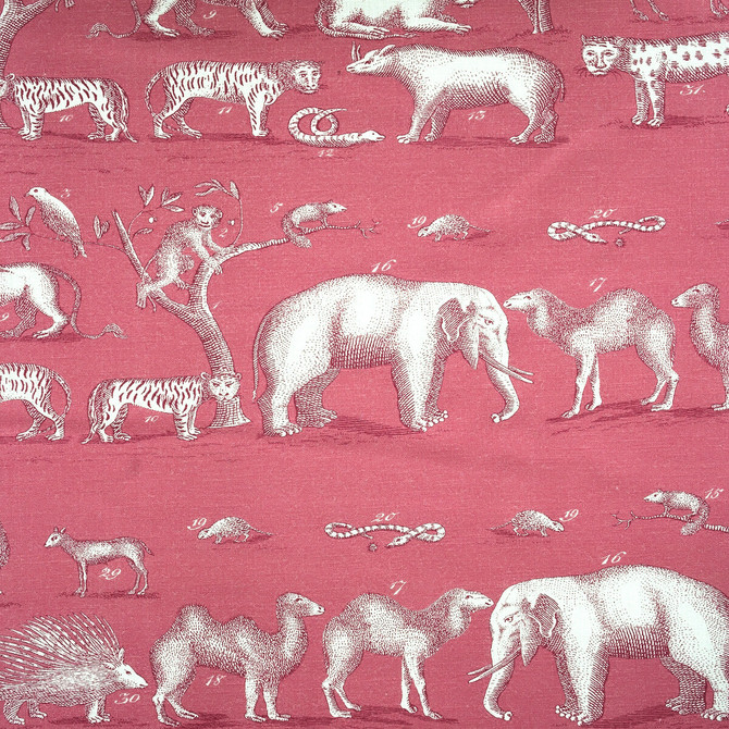 Kravet Couture Fabric Kingdom Outdoor Tropic ANDREW MARTIN THE GREAT OUTDOORS POLYESTER - 100% United Kingdom HEAVY Horizontal: 53.94 and Vertical: 35.98 53.94 - My Fabric Connection -