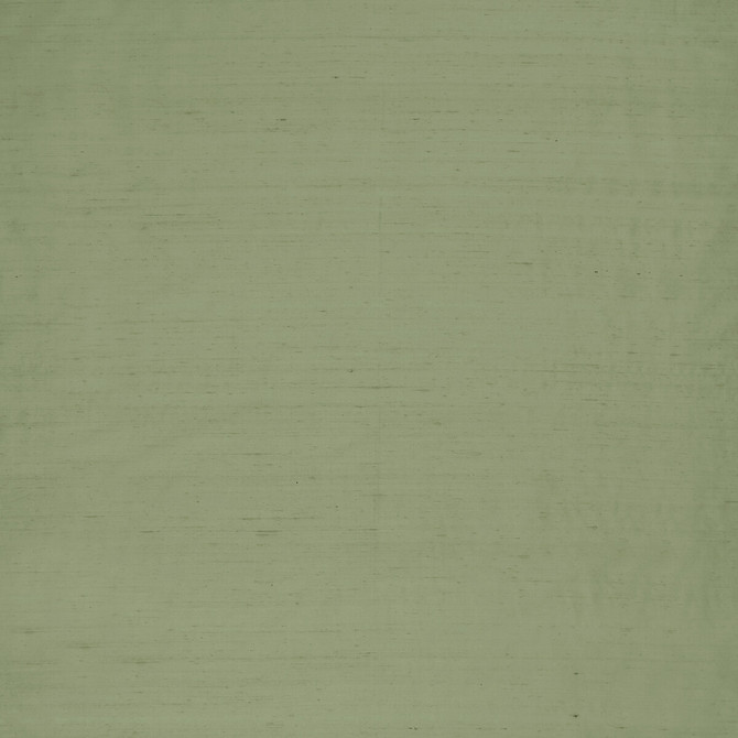 Clarke And Clarke Fabric Slyph Pistachio WILDERIE BY EMMA J SHIPLEY FOR C&C SILK - 100% India Horizontal: 0 and Vertical: 0 54 - My Fabric Connection -