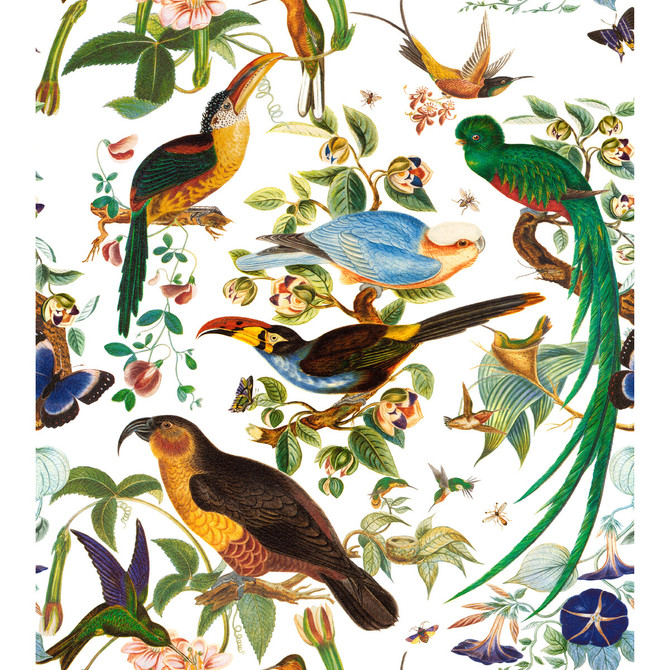 Gaston Y Daniela Fabric Oaxaca Blanco GASTON NUEVO MUNDO COTTON - 100% Italy HEAVY Horizontal: 50.5 and Vertical: 28 54 - My Fabric Connection -