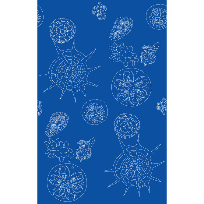 Kravet Couture Wallcovering Telescopic P Nautics PAPERSCAPE ARTIST SERIES PAPER - 100% United States Horizontal: 27 and Vertical: 72 27 - My Fabric Connection -