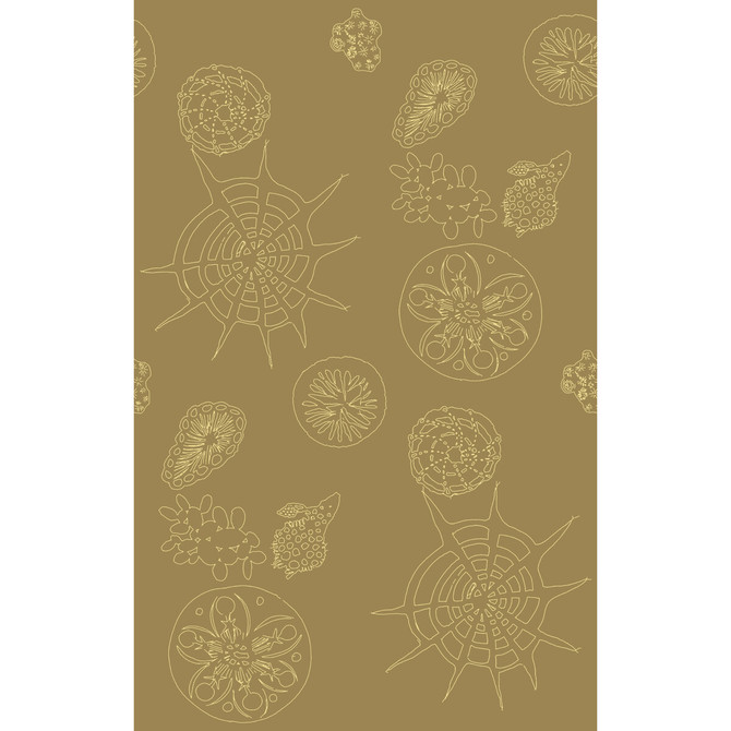 Kravet Couture Wallcovering Telescopic P Sanddollar PAPERSCAPE ARTIST SERIES PAPER - 100% United States Horizontal: 27 and Vertical: 72 27 - My Fabric Connection -