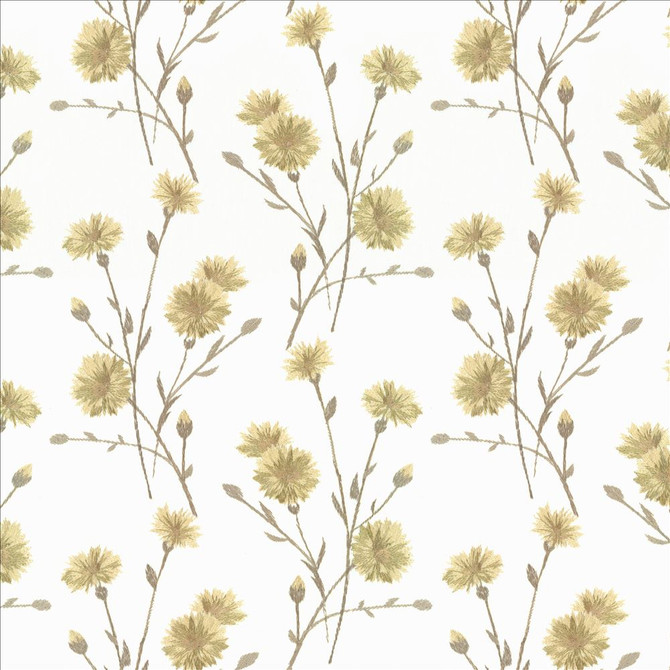 Kasmir Fabric Sprightly Chamomile 1466 52% Cotton
48% Polyester
 INDIA 30,000 Wyzenbeek Double Rubs </p><p>Repeat: Horizontal: 10 3/8 inches and Vertical: 9 2/8 inches 51 - My Fabric Connection -