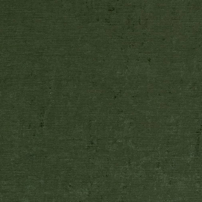 Charlotte Fabric D1906 Juniper Luxe Velvet 100% Woven Polyester India Exceeds 140,000 Wyzenbeek Rubs (Heavy Duty) </p><p>Repeat: 54 Inches - My Fabric Connection -