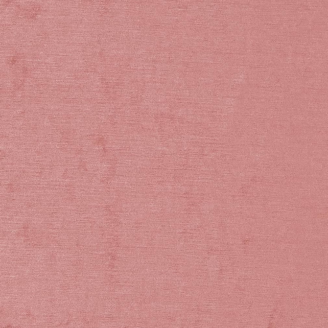 Charlotte Fabric D1924 Rose Luxe Velvet 100% Woven Polyester India Exceeds 140,000 Wyzenbeek Rubs (Heavy Duty) </p><p>Repeat: No Repeat 54 Inches - My Fabric Connection -