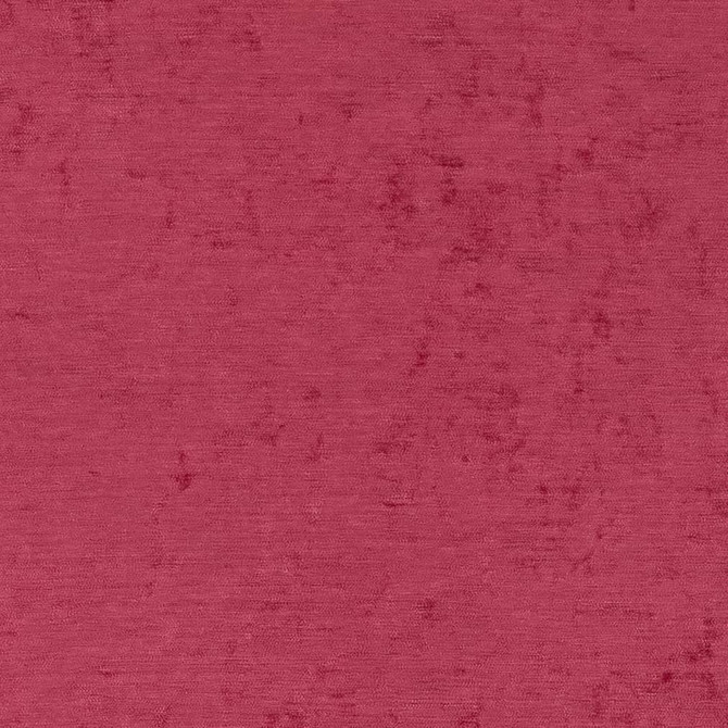 Charlotte Fabric D1925 Fuchsia Luxe Velvet 100% Woven Polyester India Exceeds 140,000 Wyzenbeek Rubs (Heavy Duty) </p><p>Repeat: 54 Inches - My Fabric Connection -