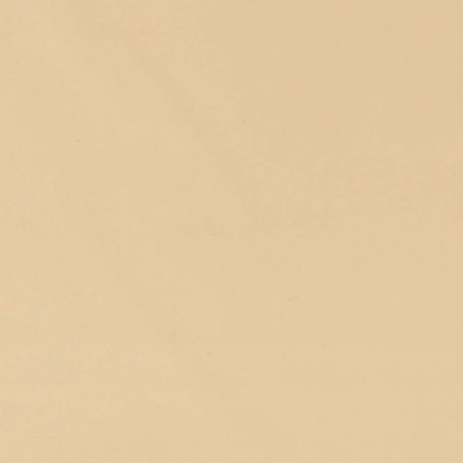 Charlotte Fabric D2113 Natural Microfiber IV 100% Woven Polyester Asia Exceeds 100,000 Wyzenbeek Rubs (Heavy Duty) </p><p>Repeat: 54 Inches - My Fabric Connection -