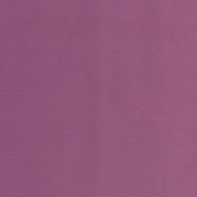 Charlotte Fabric D2116 Orchid Microfiber IV 100% Woven Polyester Asia Exceeds 100,000 Wyzenbeek Rubs (Heavy Duty) </p><p>Repeat: 54 Inches - My Fabric Connection -