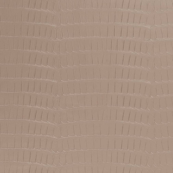 Charlotte Fabric V593 Mousse Exotics II 100% Vinyl Asia Exceeds 200,000 Wyzenbeek Rubs (Heavy Duty) </p><p>Repeat: Horizontal: 8" 54 Inches - My Fabric Connection -