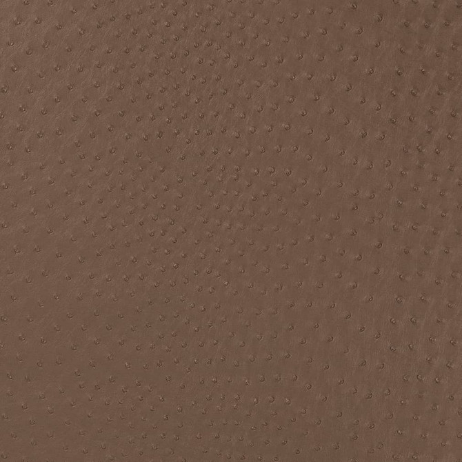 Charlotte Fabric V594 Mink Exotics II 100% Vinyl Asia Exceeds 200,000 Wyzenbeek Rubs (Heavy Duty) </p><p>Repeat: No Repeat 54 Inches - My Fabric Connection -