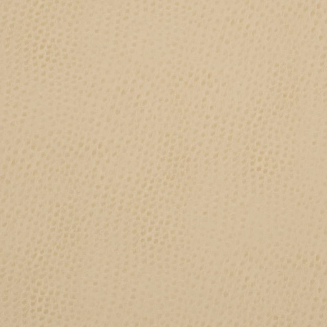 Charlotte Fabric V626 Parchment Exotics II 100% Vinyl, 34oz. Asia Exceeds 200,000 Wyzenbeek Rubs (Heavy Duty) </p><p>Repeat: No Repeat 54 Inches - My Fabric Connection -