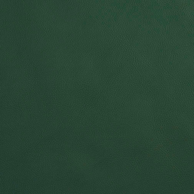 Charlotte Fabric V639 Spruce Ultrahyde Pro Face: Vinyl/Polyurethane, Back: Polyester Microsuede, 29oz. Asia Exceeds 2,000,000 Wyzenbeek Double Rubs (Heavy Duty) </p><p>Repeat: No Repeat 54 Inches - My Fabric Connection -