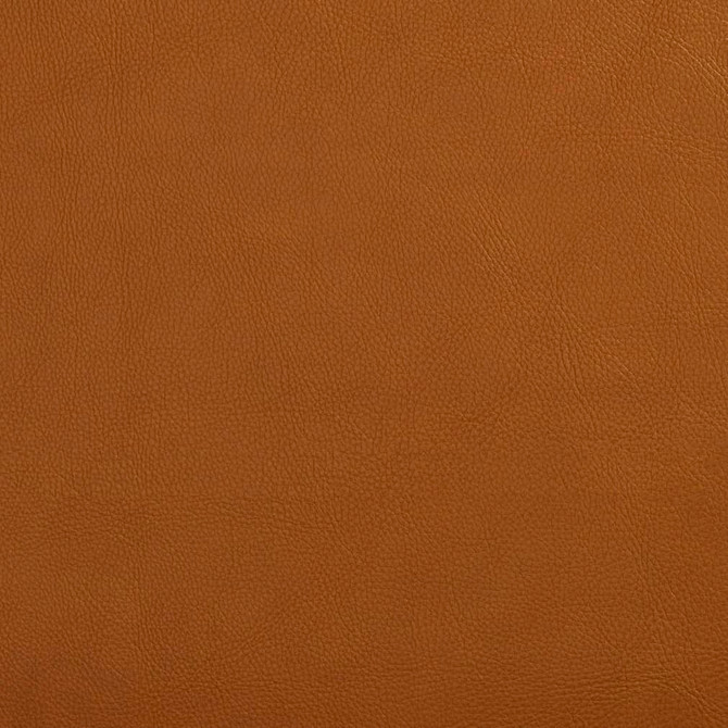 Charlotte Fabric V644 Palomino Ultrahyde Pro Face: Vinyl/Polyurethane, Back: Polyester Microsuede, 29oz. Asia Exceeds 2,000,000 Wyzenbeek Double Rubs (Heavy Duty) </p><p>Repeat: No Repeat 54 Inches - My Fabric Connection -