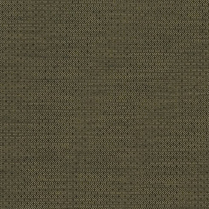 Charlotte Fabric D2193 Basil Textured Plains II 100% Polyester Turkey Exceeds 100,000 Wyzenbeek Rubs (Heavy Duty) </p><p>Repeat: 54 Inches - My Fabric Connection -