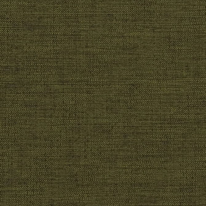 Charlotte Fabric D2201 Moss Textured Plains II 100% Polyester Turkey Exceeds 100,000 Wyzenbeek Rubs (Heavy Duty) </p><p>Repeat: No Repeat 54 Inches - My Fabric Connection -