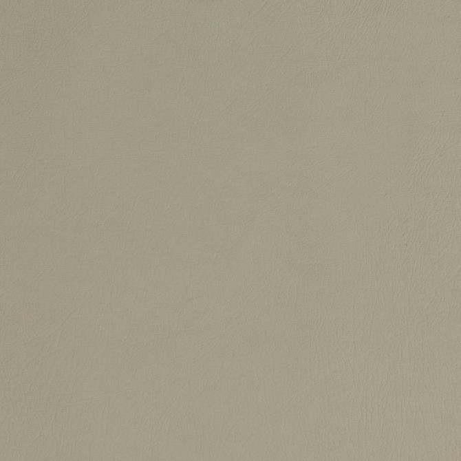 Charlotte Fabric V753 Stone Decorative Vinyl II 55% PVC, 40% Polyester, 5% Polyurethane Asia Exceeds 100,000 Wyzenbeek Rubs (Heavy Duty) </p><p>Repeat: No Repeat 54 Inches - My Fabric Connection -