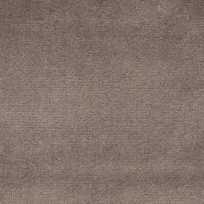 Greenhouse Fabric F1795 Otter 100% Polyester China 102,000 </p><p>Repeat: None 54" - My Fabric Connection -