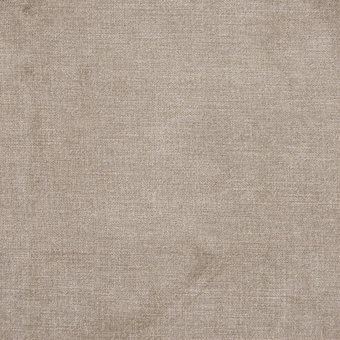 Greenhouse Fabric B1262 Birch - 90% Polyester, 10% Nylon China 100000 None 58" - My Fabric Connection -