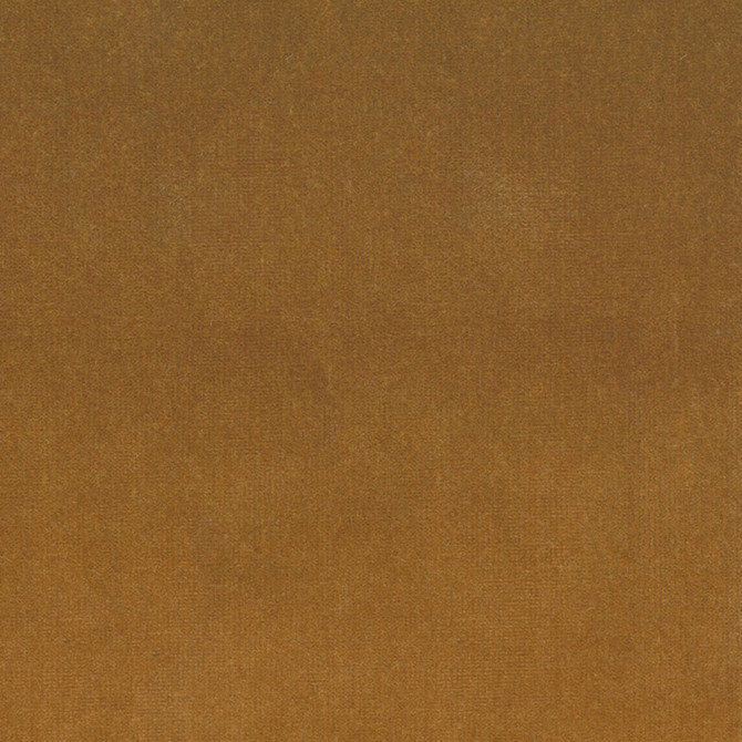 Greenhouse Fabric S4157 Ambergold 100% Polyester Indonesia 120,000 double rubs </p><p>Repeat: None 56" - My Fabric Connection -